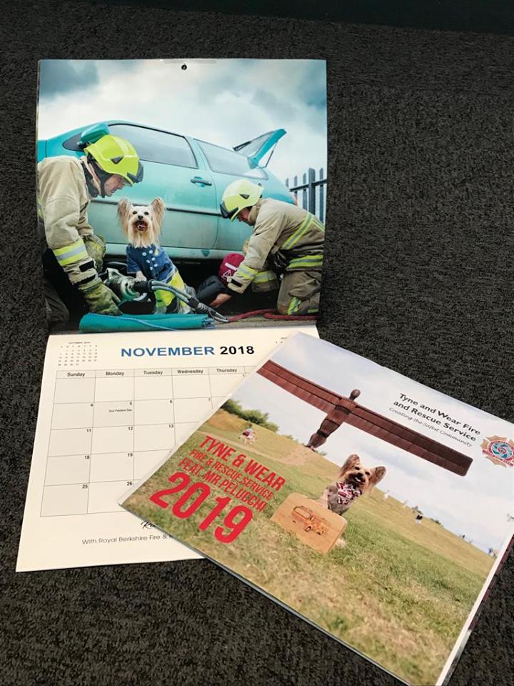 2019 calendar with photo of a Yorkshire Terrier with TWFRS firefighters