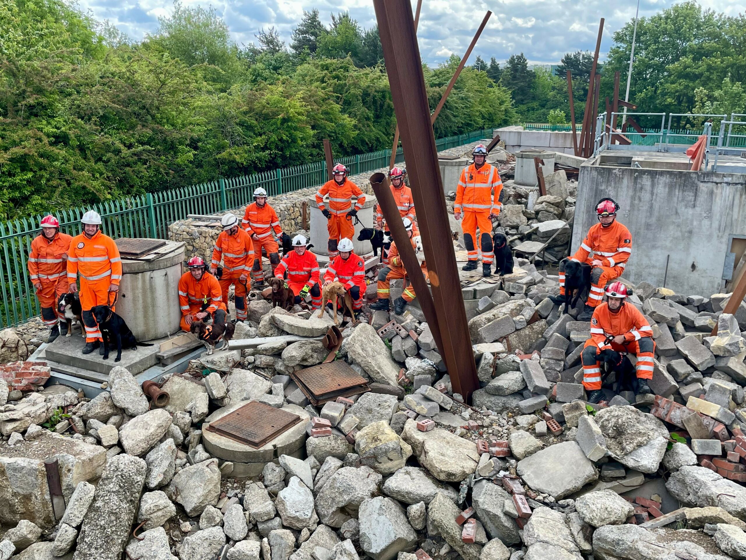 The image shows 15 of the country’s leading National Resilience Urban search and rescue (USAR) dogs and their handlers pictured on a collapsed building training facility at the Brigade Training Centre in Washington.